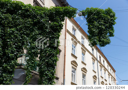 A Vibrant Green Canopy Resembling a Nature-Laden Facade Intertwined with Modern Architecture and Cables Under a Clear Blue Sky A Vibrant Green Canopy Resembling a Nature-Laden Facade Intertwined with Modern Architecture and Cables Under a Clear Blue Sky 128330244