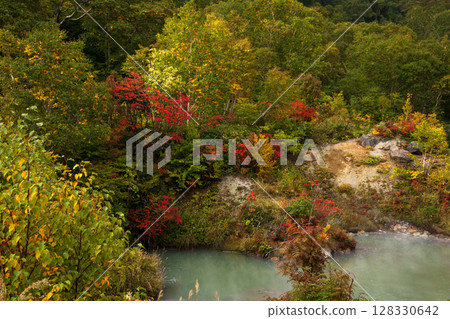Hakkodayama in autumn 128330642