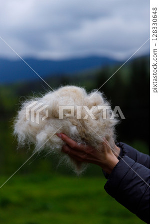 A Close-Up View of Fluffy Wool in Hands Against a Scenic Background of Mountains and Cloudy Skies, Representing Natural Fiber and Textile Artistry Inspiration 128330648