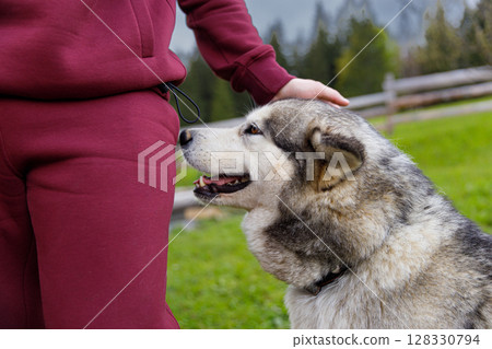 A Heartwarming Moment: A Person and Their Dog Enjoying a Tender Connection in a Scenic Outdoor Setting Surrounded by Nature s Beauty and Fresh Greenery on a Cloudy Day 128330794