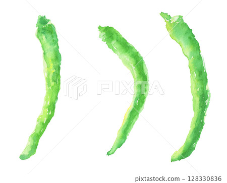 伏見胡椒的水彩插圖—京都蔬菜 128330836