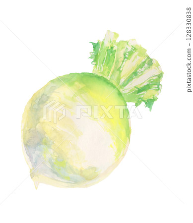 聖護院蘿蔔的水彩畫－京都蔬菜 128330838