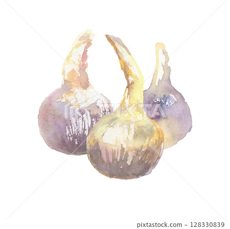 慈姑水彩插畫-吉祥發芽的京都蔬菜 128330839
