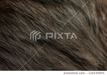Black cat fur macro photo as background. 128330945