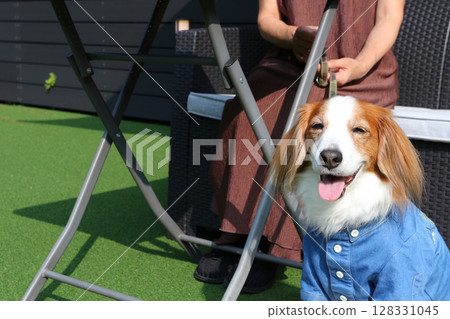 Dogs and owners eating at a dog cafe 128331045