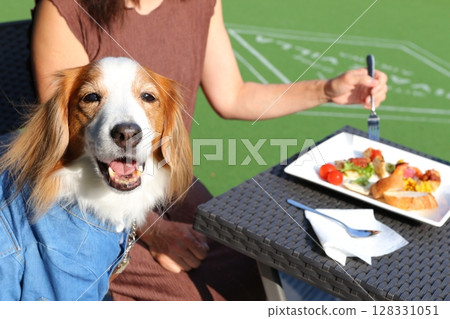 Dogs and owners eating at a dog cafe 128331051