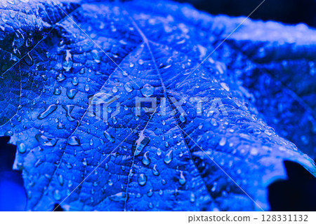 Spring in my garden 128331132