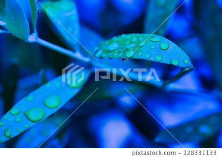 Spring in my garden 128331133