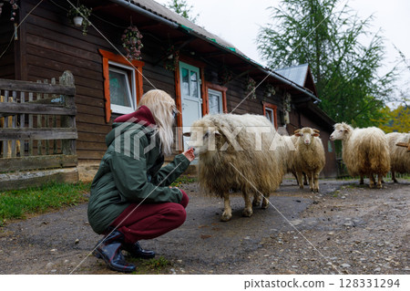 A Serene Encounter: A Person and Sheep in a Picturesque Rural Setting Near a Cozy Wooden House Surrounded by Nature and Furry Companions in Tranquil Harmony 128331294