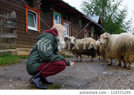 A Young Woman Interacts with Curious Sheep Outside a Rustic Wooden House Amidst Greenery on a Cloudy Day, Capturing the Essence of Rural Life and Nature's Beauty A Young Woman Interacts with Curious Sheep Outside a Rustic Wooden House Amidst Greenery on a Cloudy Day, Capturing the Essence of Rural Life and Nature's Beauty 128331295
