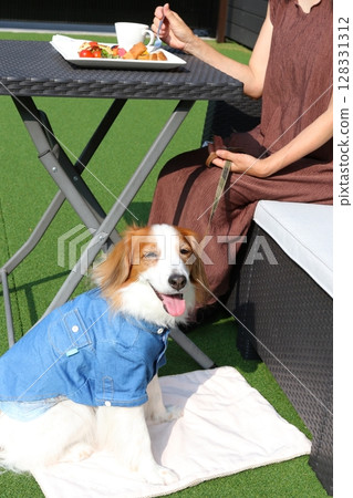 Relaxing time with your dog on a cafe terrace under the blue sky 128331312