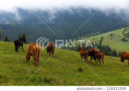 A Serene Landscape of Horses Grazing Amidst Lush Green Fields and Mountains Under a Cloudy Sky in Tranquil Nature 128331389
