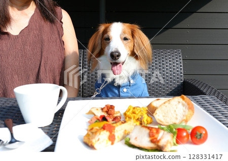 與微笑的狗狗一起享用時尚午餐 與微笑的狗狗一起享用時尚午餐 128331417