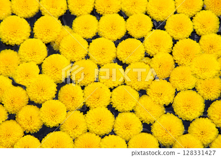 small chrysanthemum edible chrysanthemum 128331427