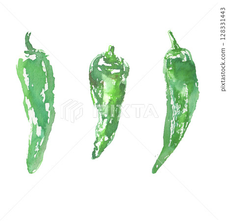 萬願寺胡椒的水彩插圖 128331443