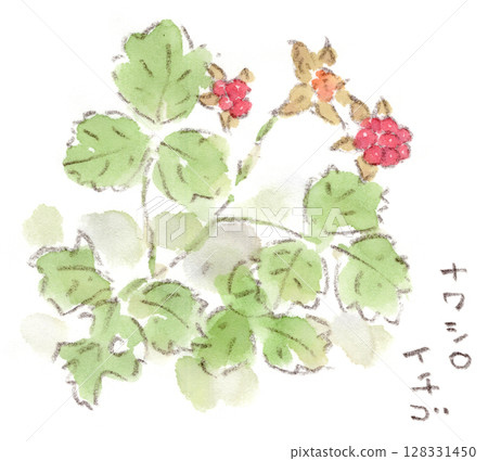 A watercolor illustration of a beautiful red Japanese strawberry, a plant from early summer to summer 128331450