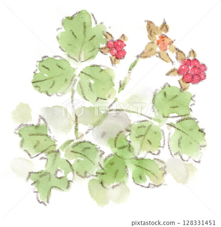 一幅美麗的紅色日本草莓的水彩插圖，這種草莓從初夏到夏天一直生長。 128331451