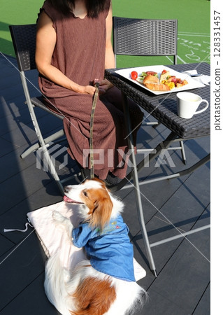 Relaxing time with your dog on a cafe terrace under the blue sky Relaxing time with your dog on a cafe terrace under the blue sky 128331457