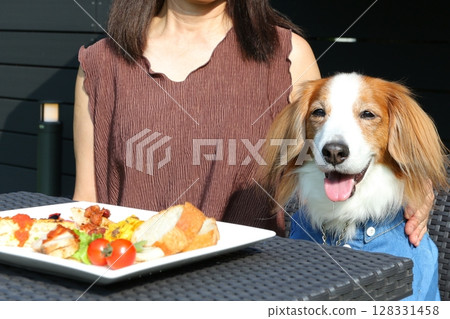 Dogs and owners eating at a dog cafe 128331458
