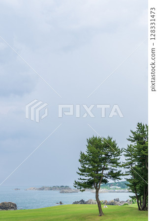 青森縣天然草地~種差海岸風景 青森縣天然草地~種差海岸風景 128331473