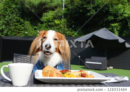 與微笑的狗狗一起享用花園午餐 128331484