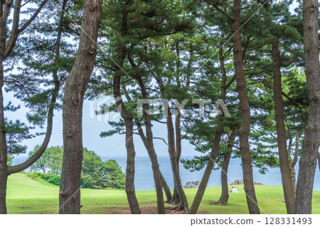 青森縣天然草地～種差海岸風景 128331493