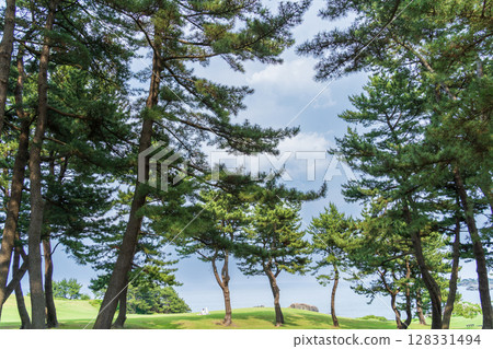 青森縣天然草地～種差海岸風景 128331494