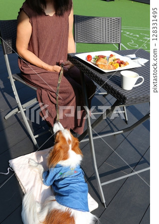 Relaxing time with your dog on a cafe terrace under the blue sky 128331495