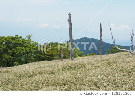 大台原的枯樹與天空 128331503