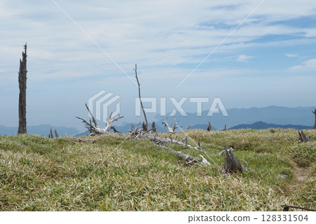 大台原的枯樹、竹草、山脈和天空 128331504
