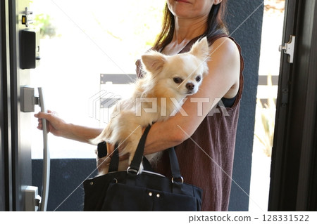 帶著吉娃娃出門的女人的真實日常生活 128331522