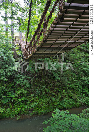Fresh green Kazura Bridge 128331581