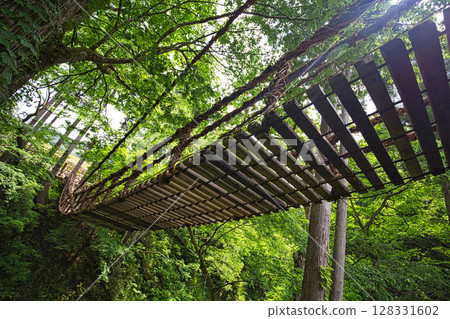 Fresh green Kazura Bridge Fresh green Kazura Bridge 128331602