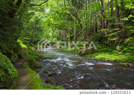 新鮮的綠色Kazura橋樑 新鮮的綠色Kazura橋樑 128331611