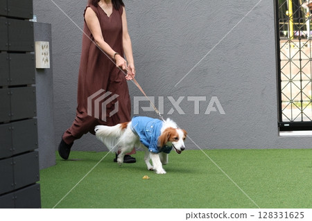 Dogs that have a habit of pulling 128331625