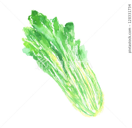 Watercolor illustration of Kyoto Mibuna - traditional leafy vegetable from Kyoto 128331734