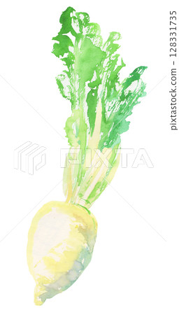 Watercolor illustration of Sugukina – a traditional Kyoto pickle Watercolor illustration of Sugukina – a traditional Kyoto pickle 128331735