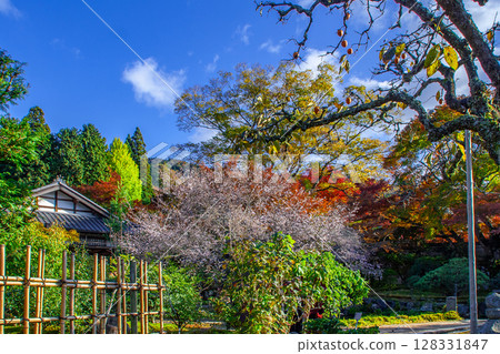 Kagakuin Kagakuin 128331847