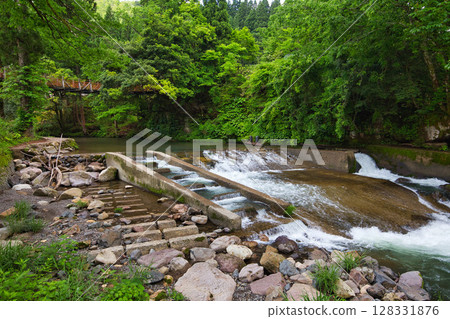 An oasis of fresh greenery along the road 128331876
