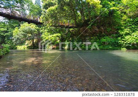 An oasis of fresh greenery along the road 128331878