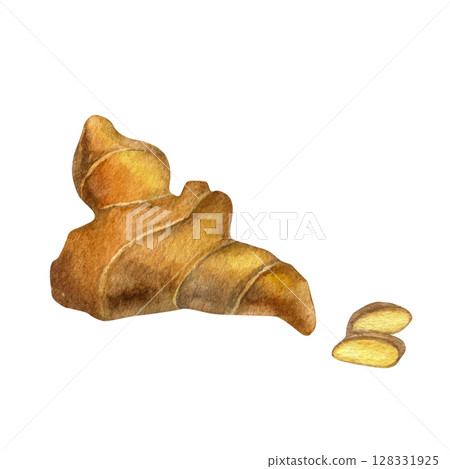 Ginger root watercolor illustration hand drawn isolated on white background for fabric, textile, prints, design Ginger root watercolor illustration hand drawn isolated on white background for fabric, textile, prints, design 128331925