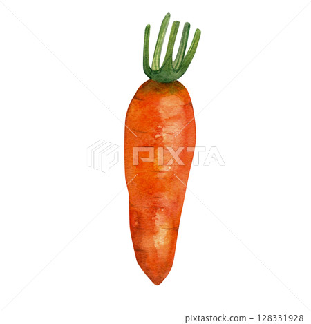 Carrot - hand drawn watercolor illustration, isolated on white background for fabric, textile, prints, design, cards. Carrot - hand drawn watercolor illustration, isolated on white background for fabric, textile, prints, design, cards. 128331928