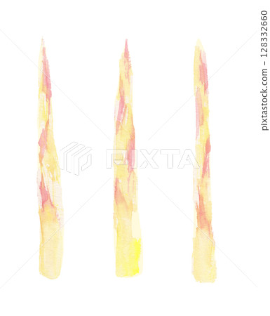 京都傳統蔬菜「京都蔬菜」的水彩畫 京都傳統蔬菜「京都蔬菜」的水彩畫 128332660