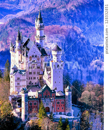 隆冬時節新天鵝堡的壯麗景色 128332851