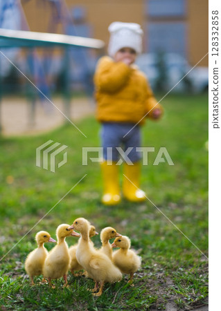 Cute baby girl with ducklings Cute baby girl with ducklings 128332858