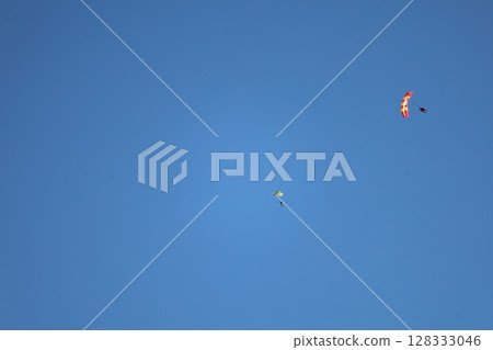 (Saitama, Okegawa Airport) Skydivers flying in the sky 128333046