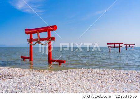 （佐賀縣）有明海、大王神社的水下鳥居 128333510