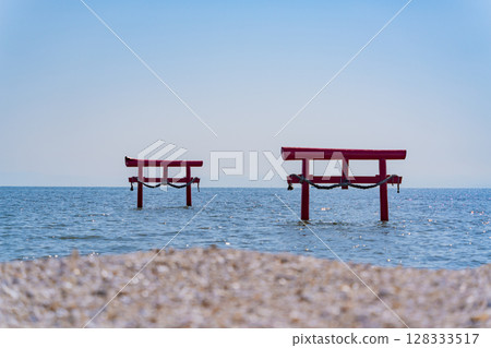 (Saga Prefecture) Ariake Sea, Ooguo Shrine's underwater torii gate 128333517