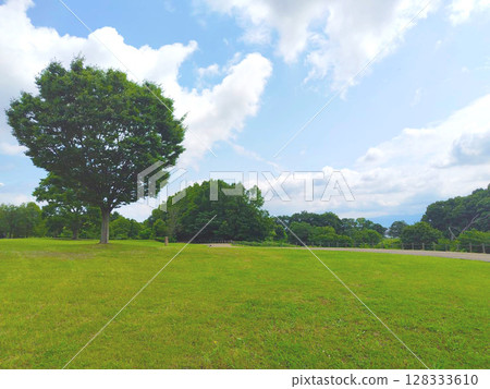 標題畫面的自然風景 標題畫面的自然風景 128333610