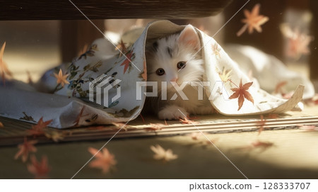 小貓 貓咪 貓 128333707